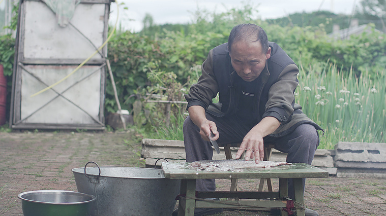 Zhongjin Zhang