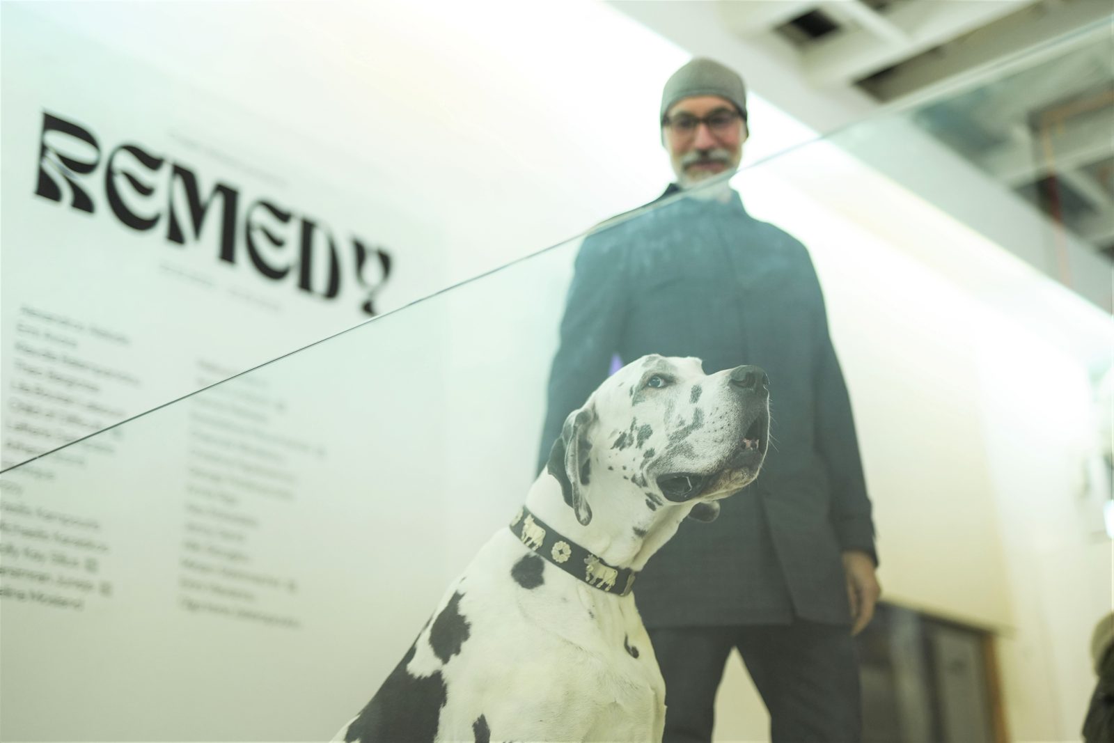 Remedy exhibition